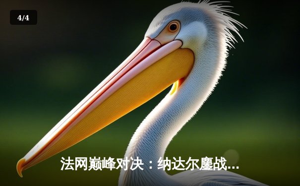 法网巅峰对决：纳达尔鏖战五盘惊险晋级，第15次闯入半决赛创历史 - 4